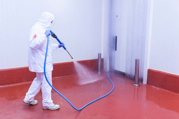 Best Solar Panel Cleaning  in La Riviera, CA