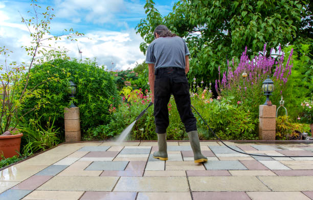Best Driveway Pressure Washing  in La Riviera, CA