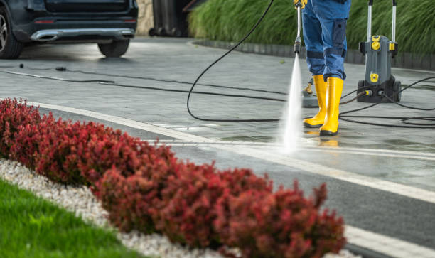 Boat and Dock Cleaning in La Riviera, CA